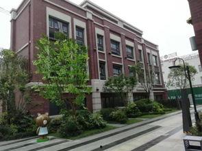 青县碧桂园爆料事件最新,业主维权真相与开发商回应全解析